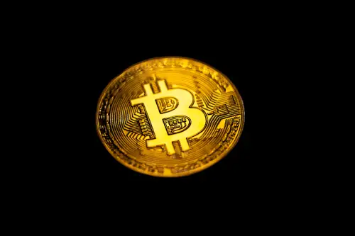 البيتكوين سيصل الى 100 الف دولار قريباً حسب المحلليلن