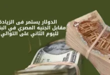 الدولار يستمر فى الزيادة مقابل الجنيه المصري في البنوك لليوم الثاني على التوالي