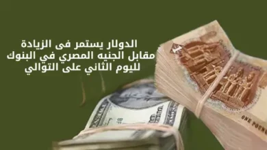 الدولار يستمر فى الزيادة مقابل الجنيه المصري في البنوك لليوم الثاني على التوالي