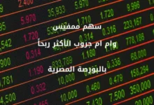 سهم ممفيسMPCI وام ام جروب الأكثر ربحاً بالبورصة المصرية