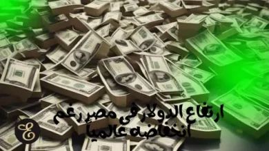 الدولار ينخفض فى بلادة واماكن عدة ويرتفع فقط فى مصر !